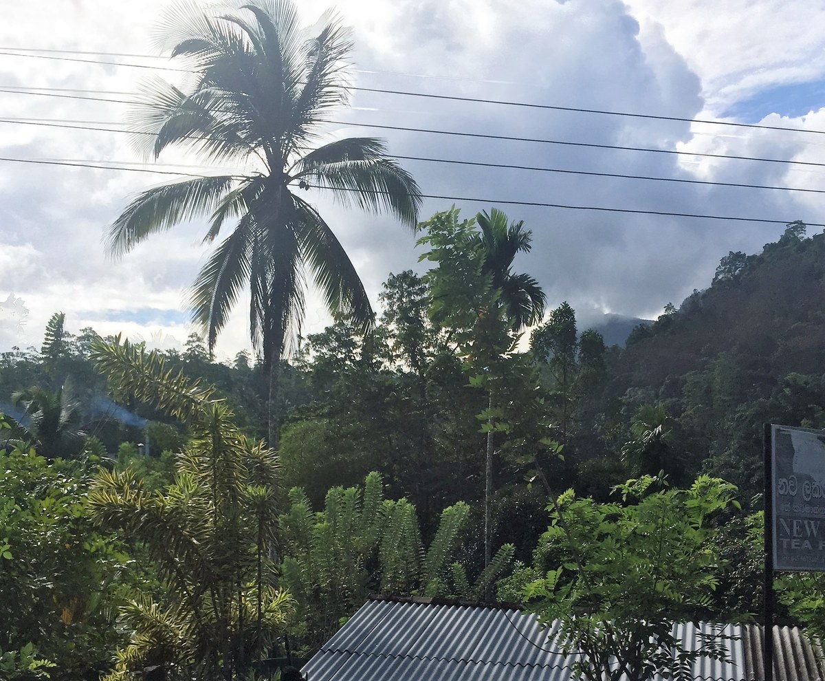 Pathangala