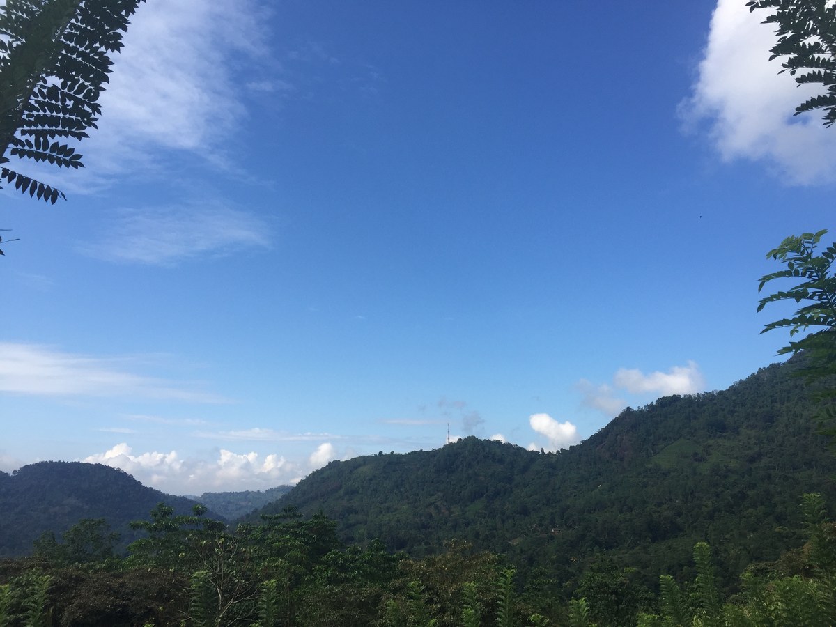 Rajurugala