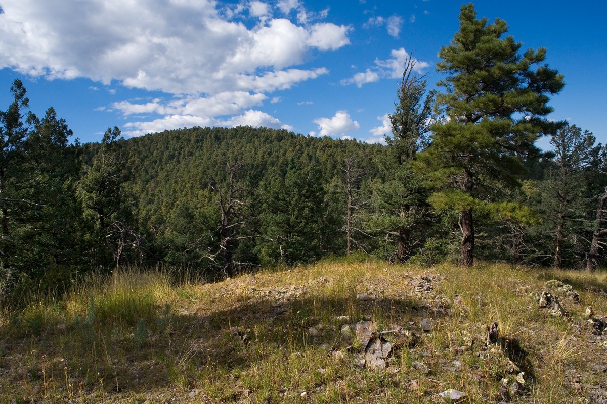 Reeds Peak