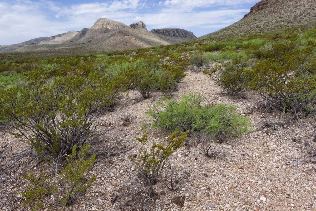 Tip Top Mesa