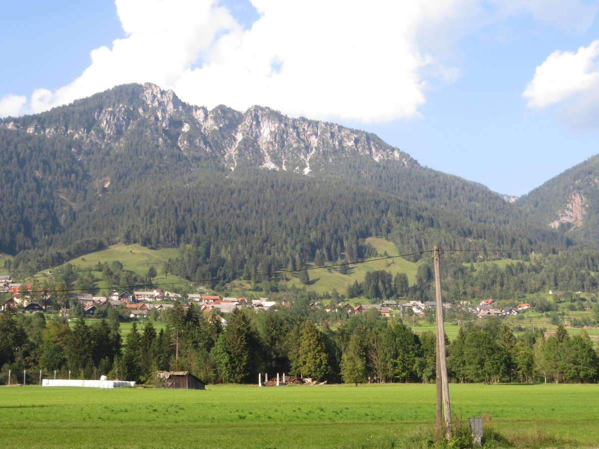 Jerebikovec