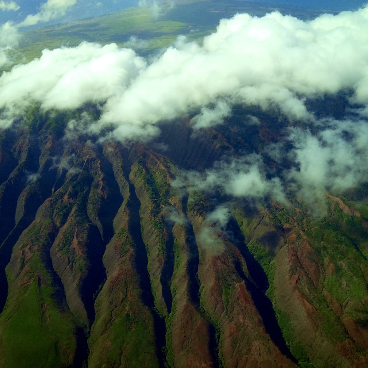 Halulu