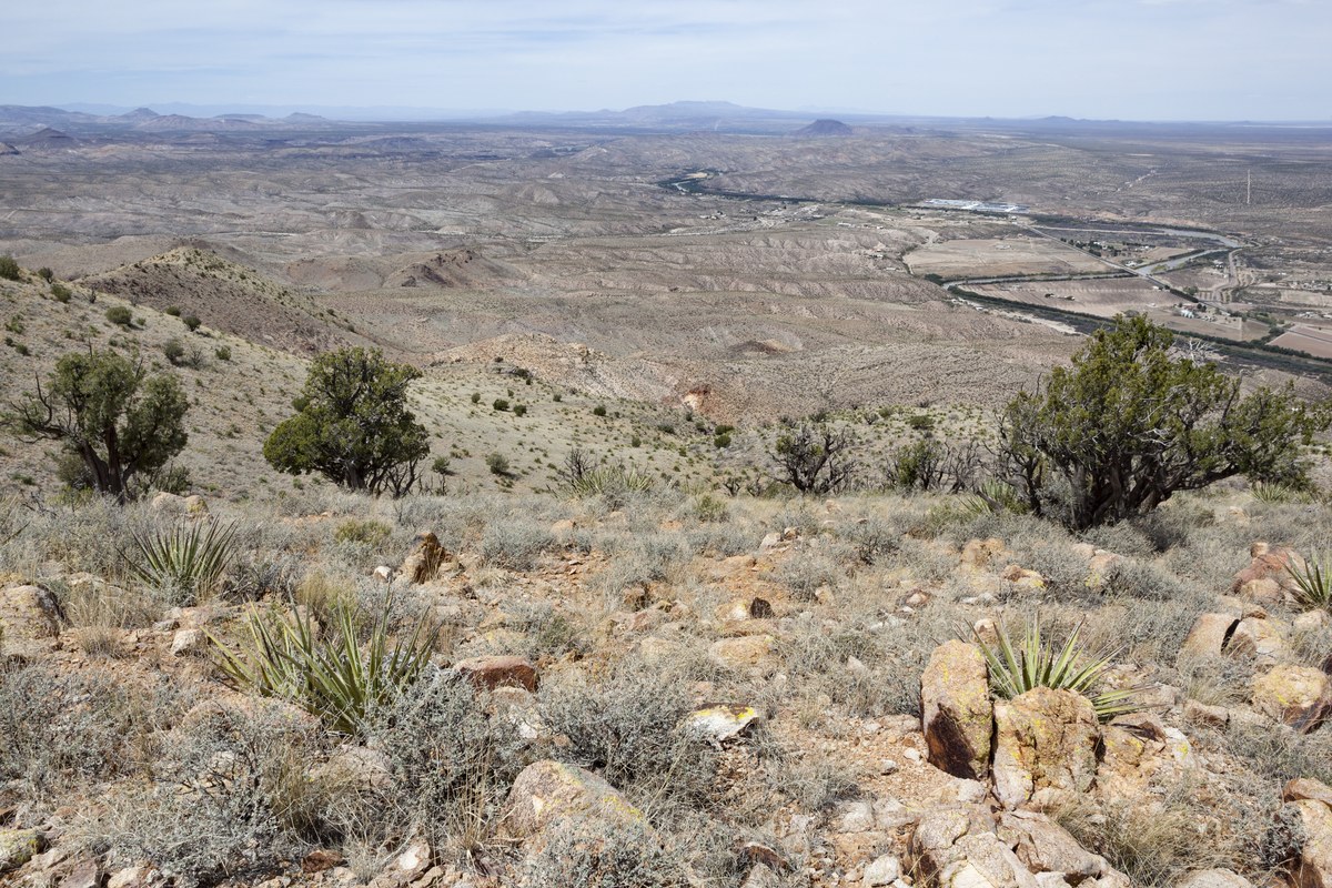 Lookout Peak