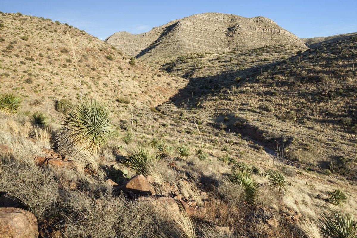 Robledo Mountain