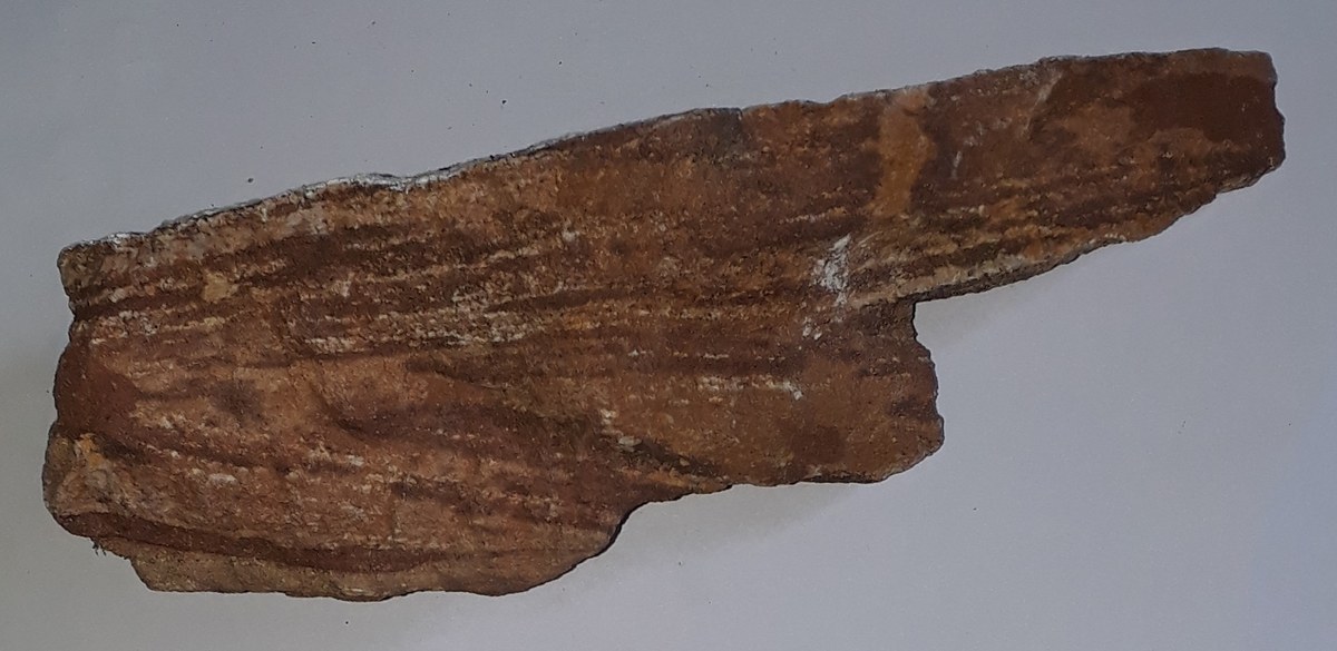 May Leiba