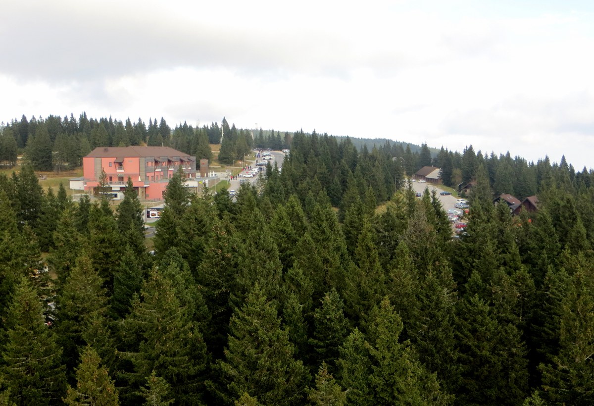 Rogla