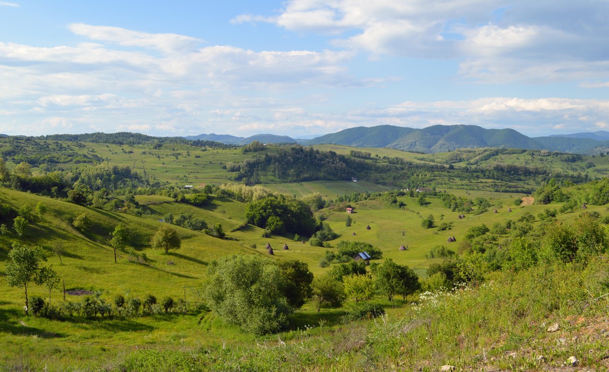 Vârful Vălenilor