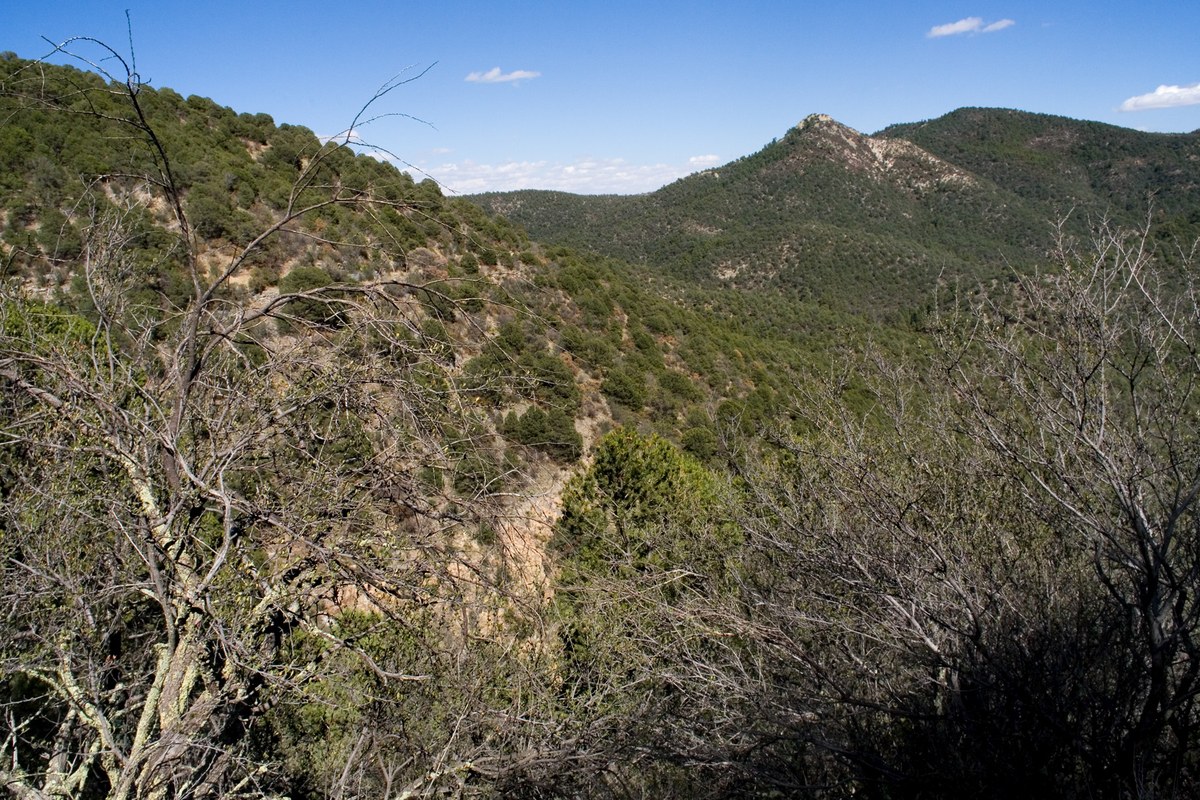 Stoner Mountain