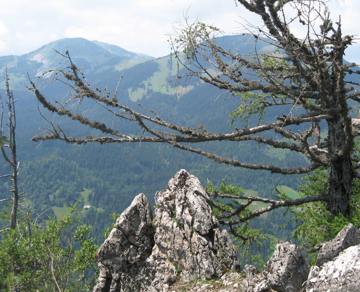 Hruški vrh
