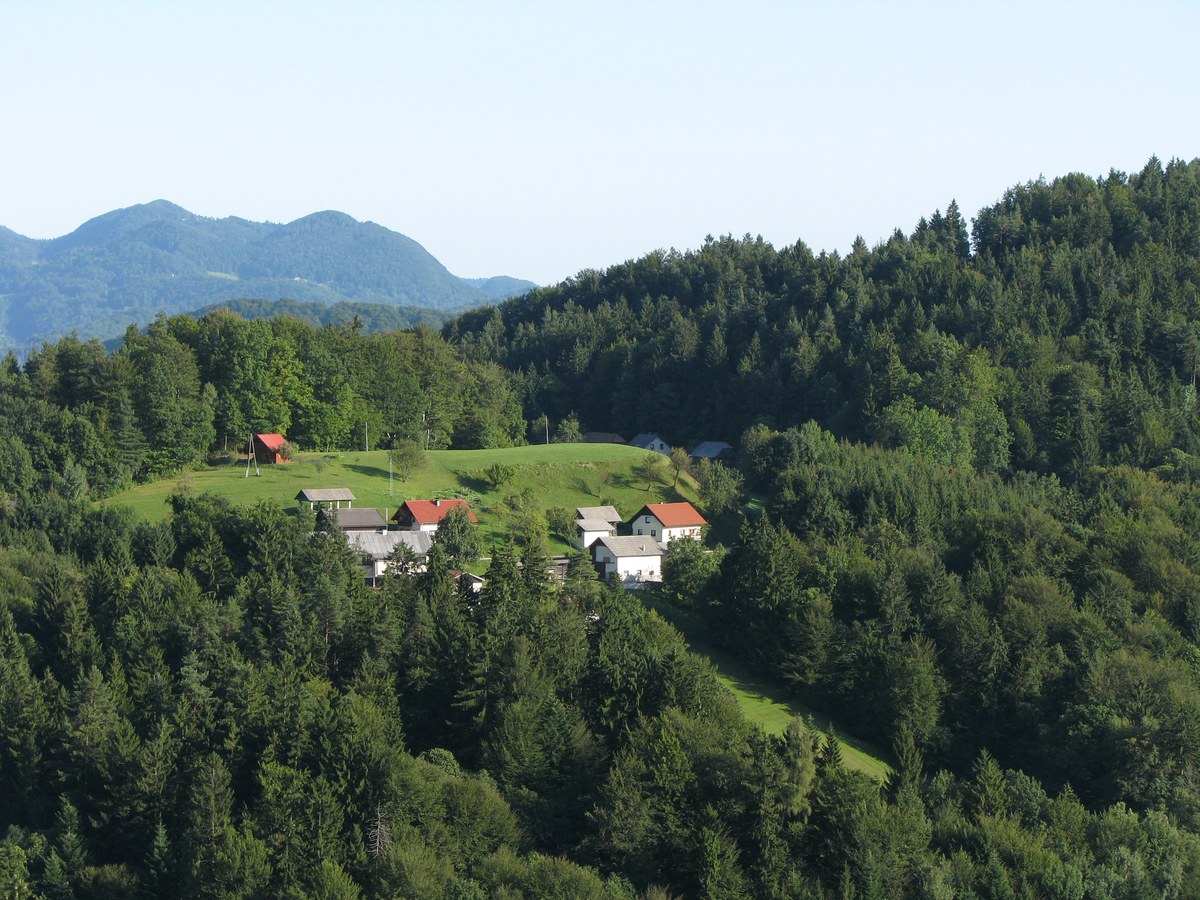 Čemšenik Pasture