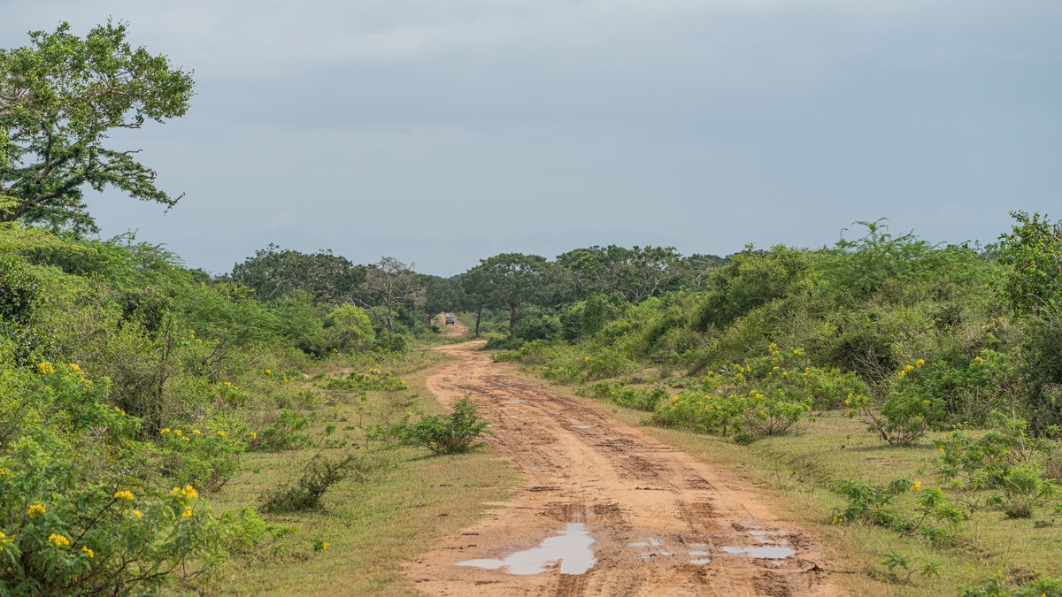 Bundala National Park