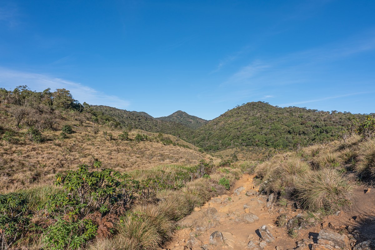 Horton Plains National Park