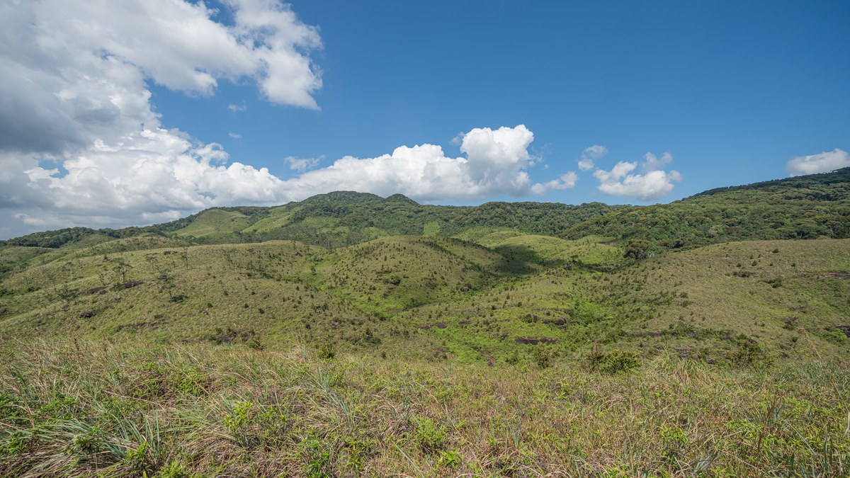 Kurulugala Old