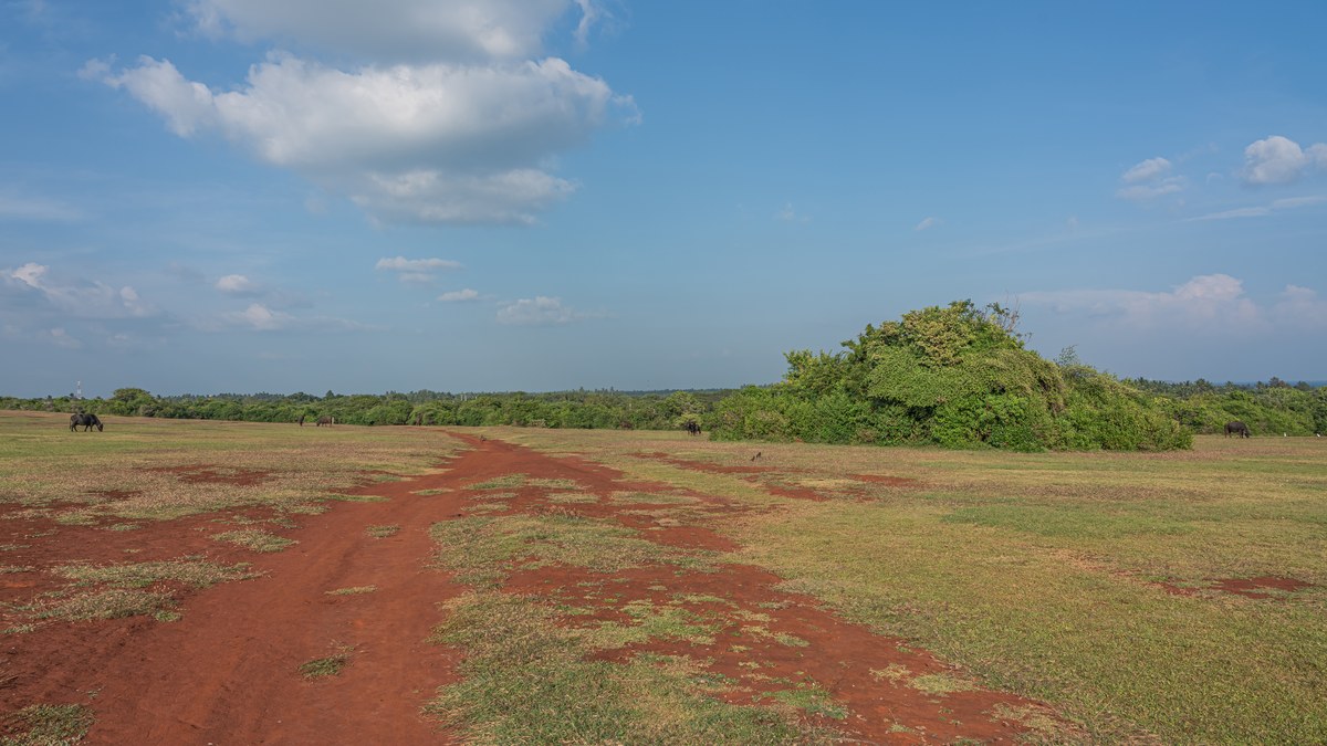 Ussangoda