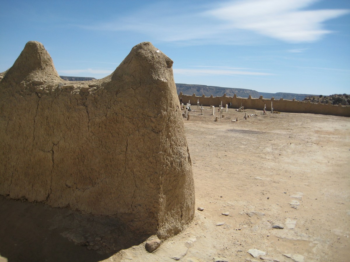 Koya Mesa