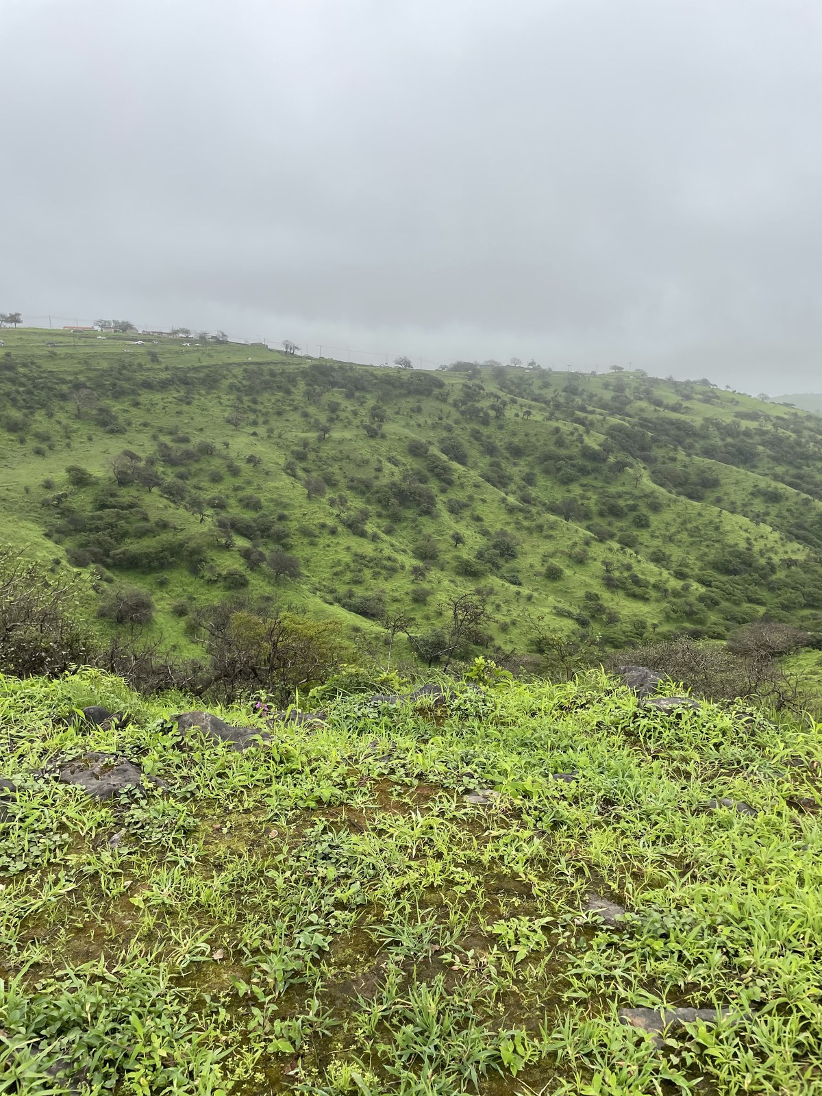 Jebel Qas Baar