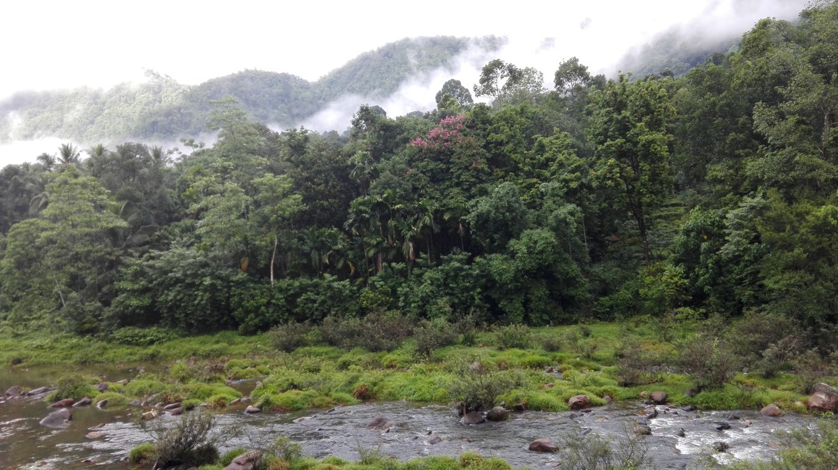 Saptha Kanya