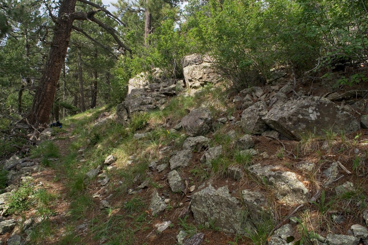 Sawyers Peak