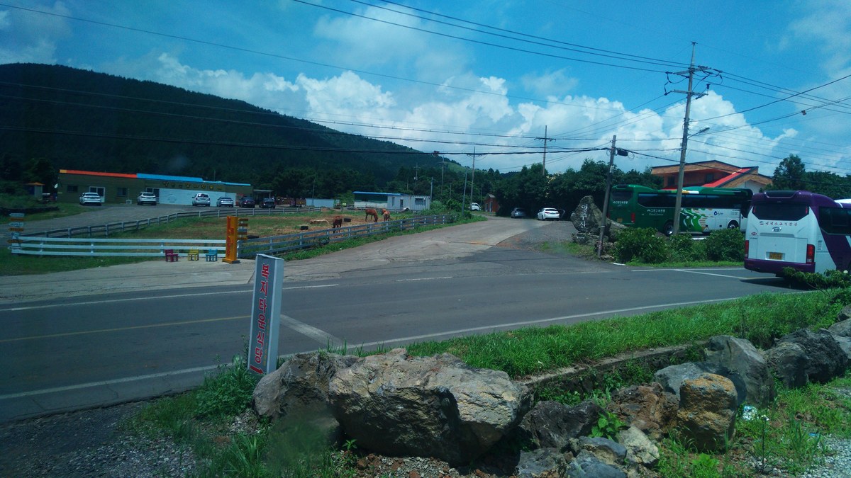 Saekkioreum