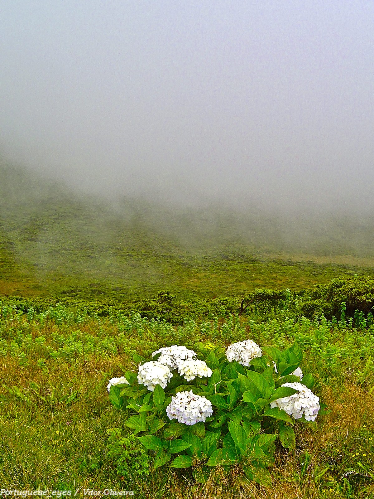Serra de Santa Bárbara