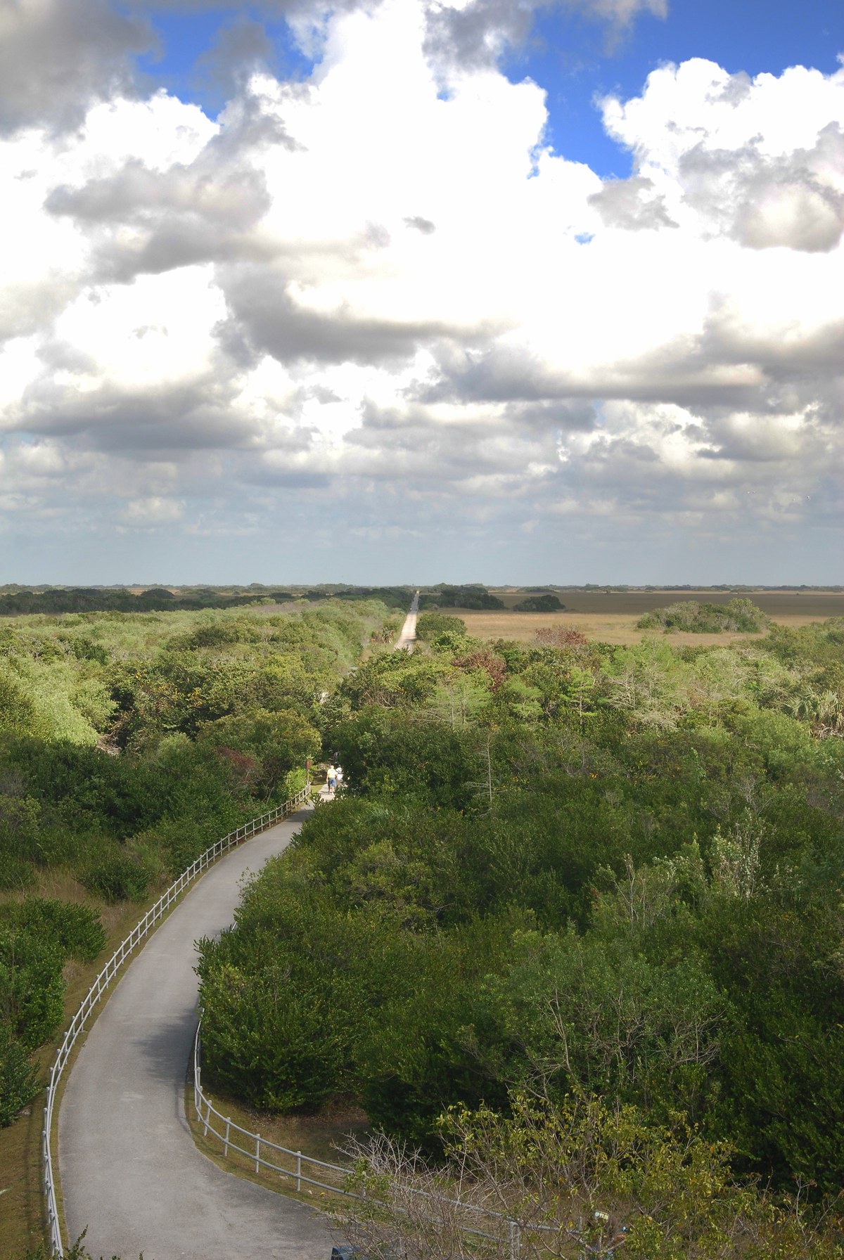 Shark Valley Observation Tower