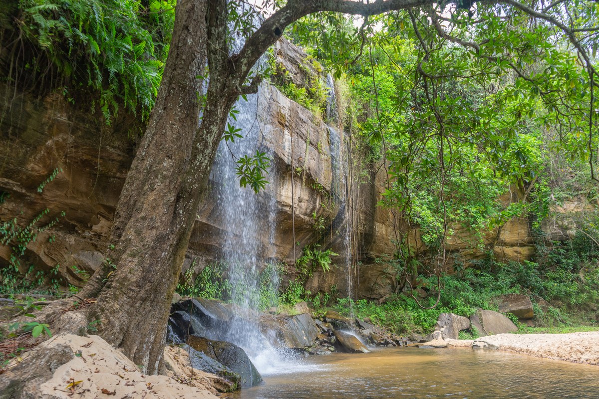 Sheldrick Falls