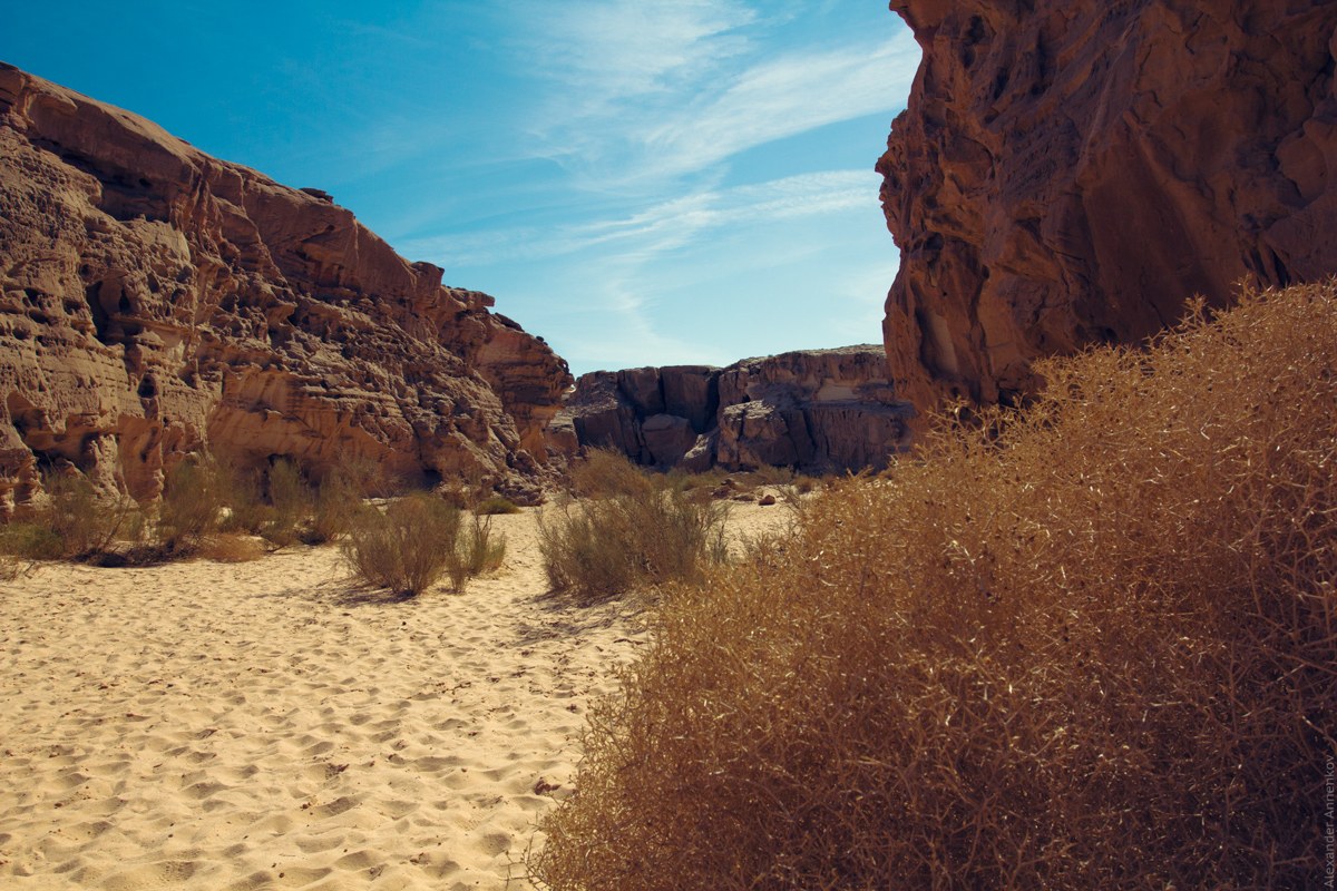 Jabal Māliḩah