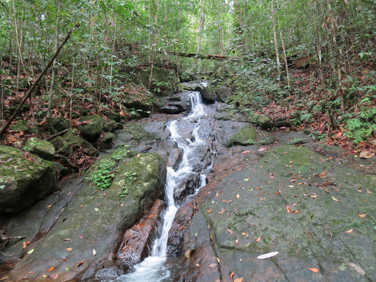 Kohilarambe
