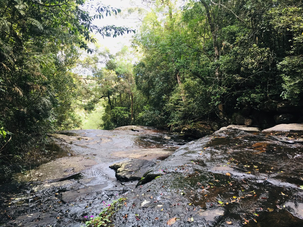 Aninkanda
