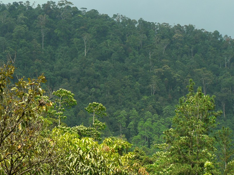 Hinidumakanda