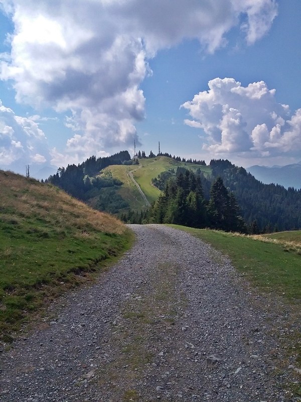 Hahnenwipfel