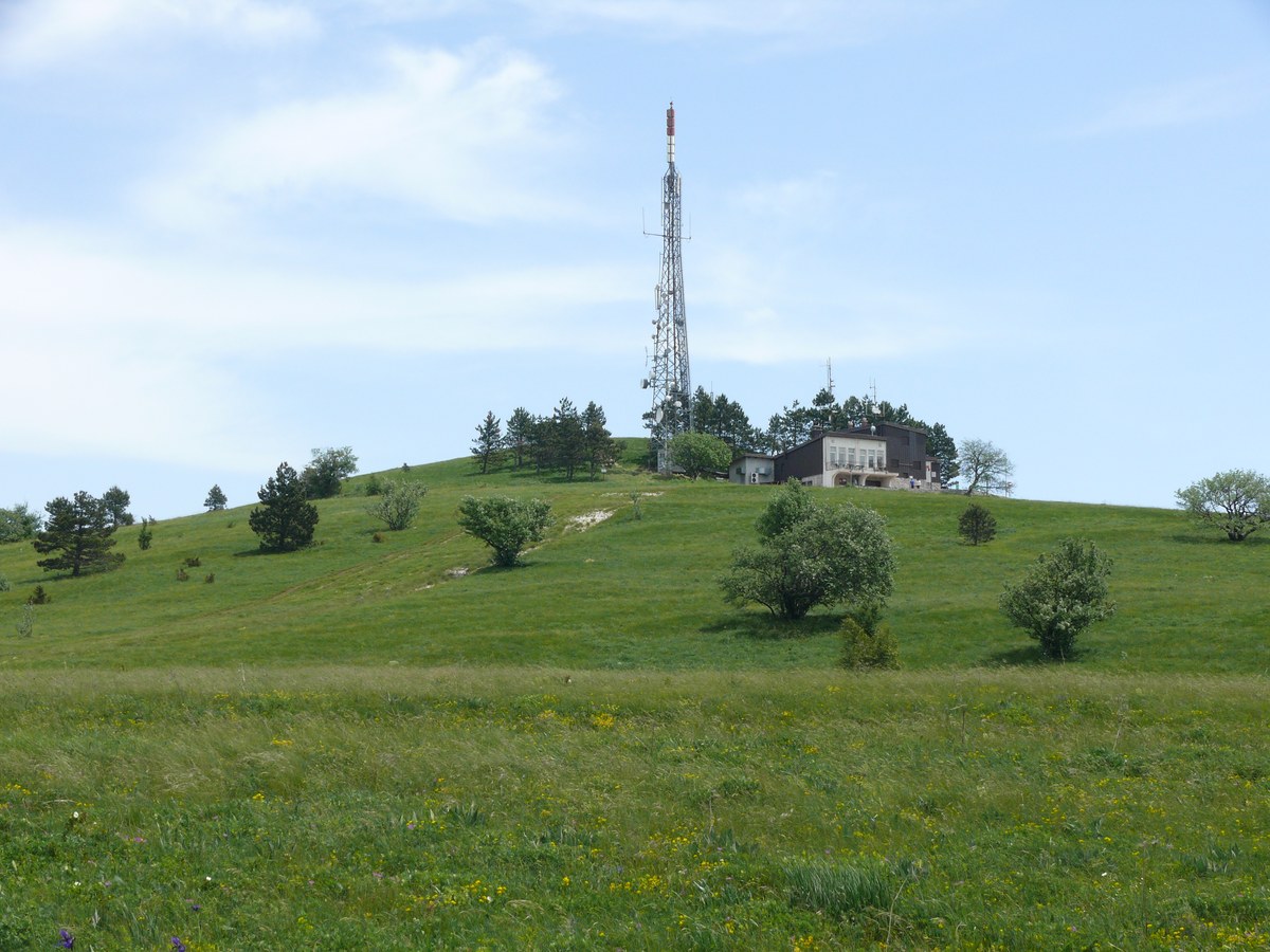 Slavnik