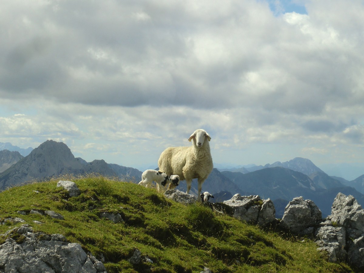Windhöhe