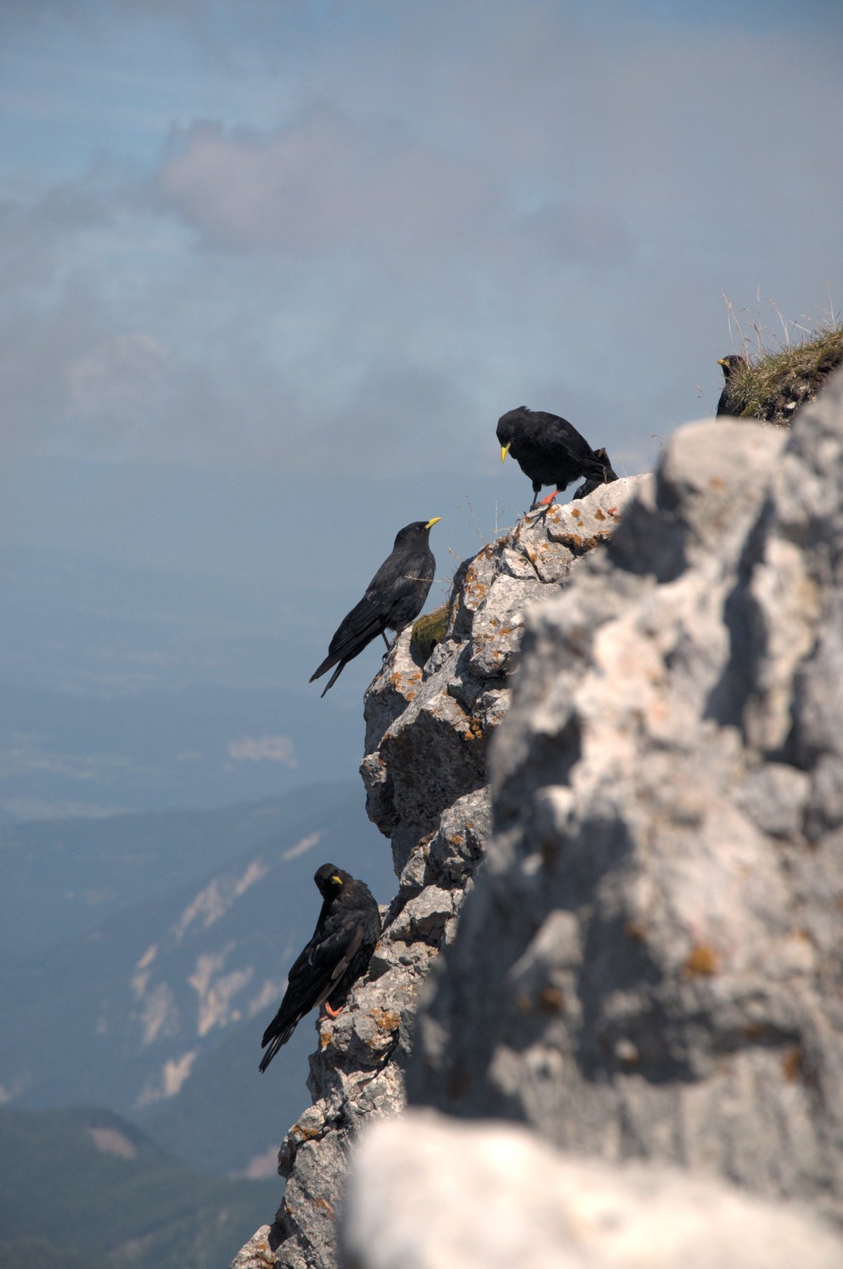 Stol / Hochstuhl