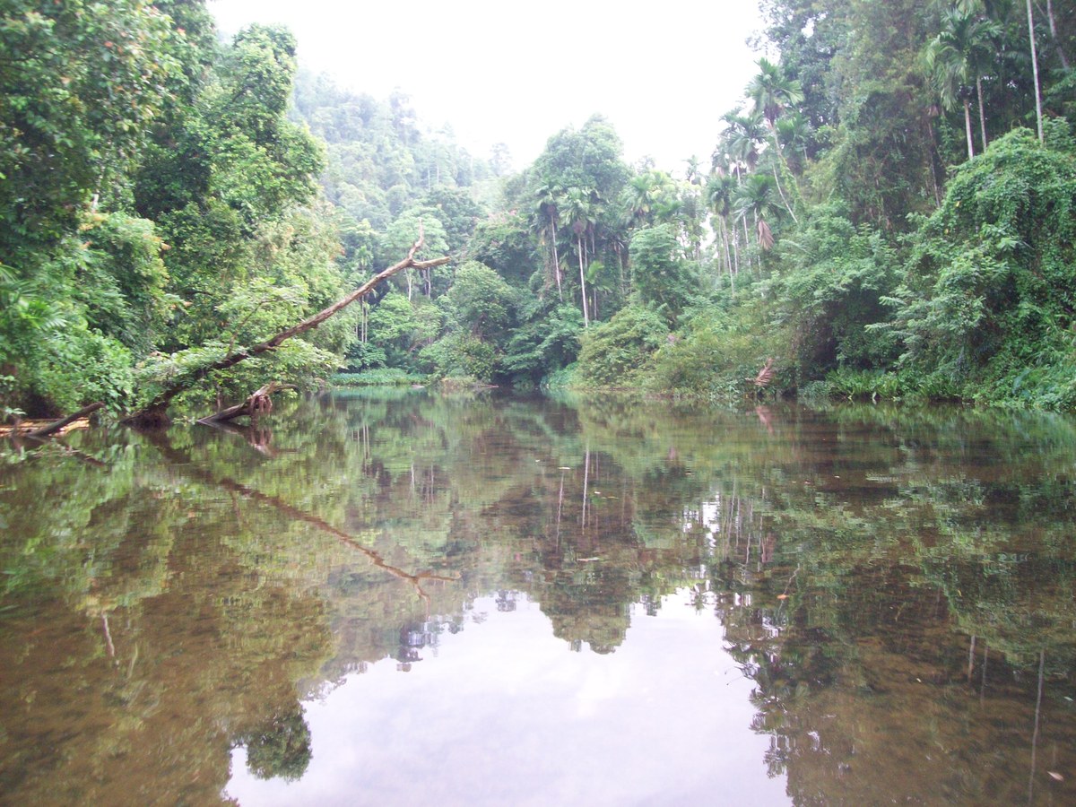Kalugalgammana