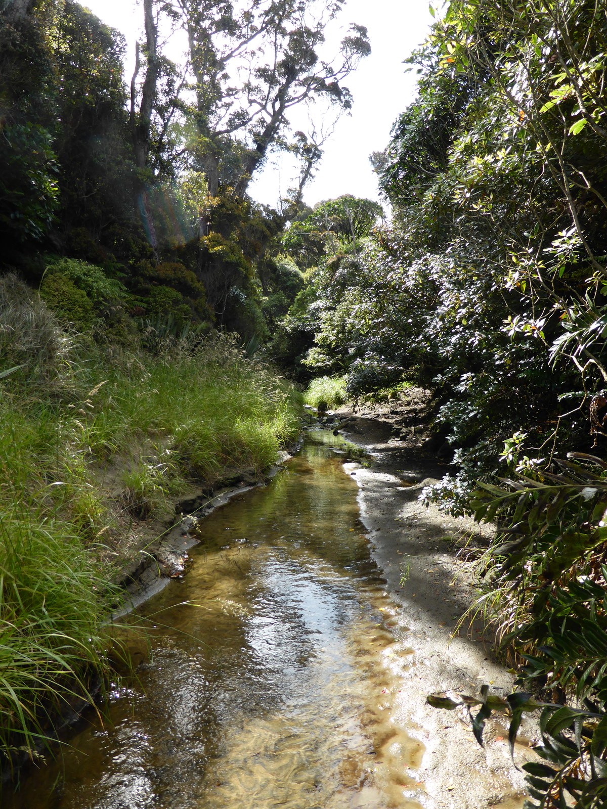 Isas Cave