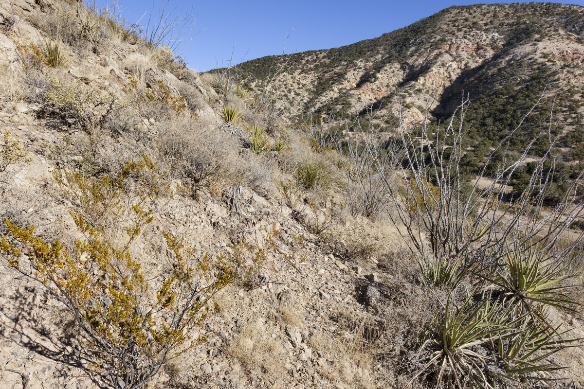 Domingo Peak