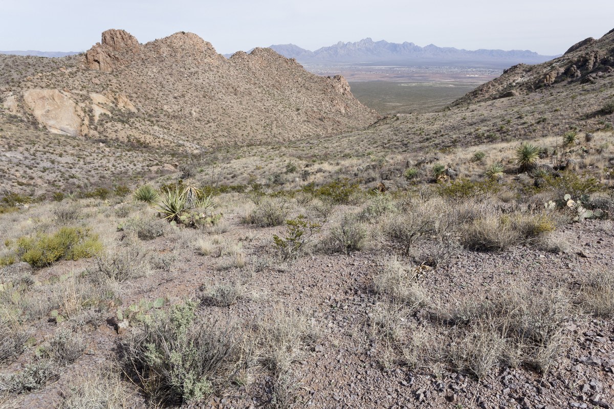 Doña Ana Peak