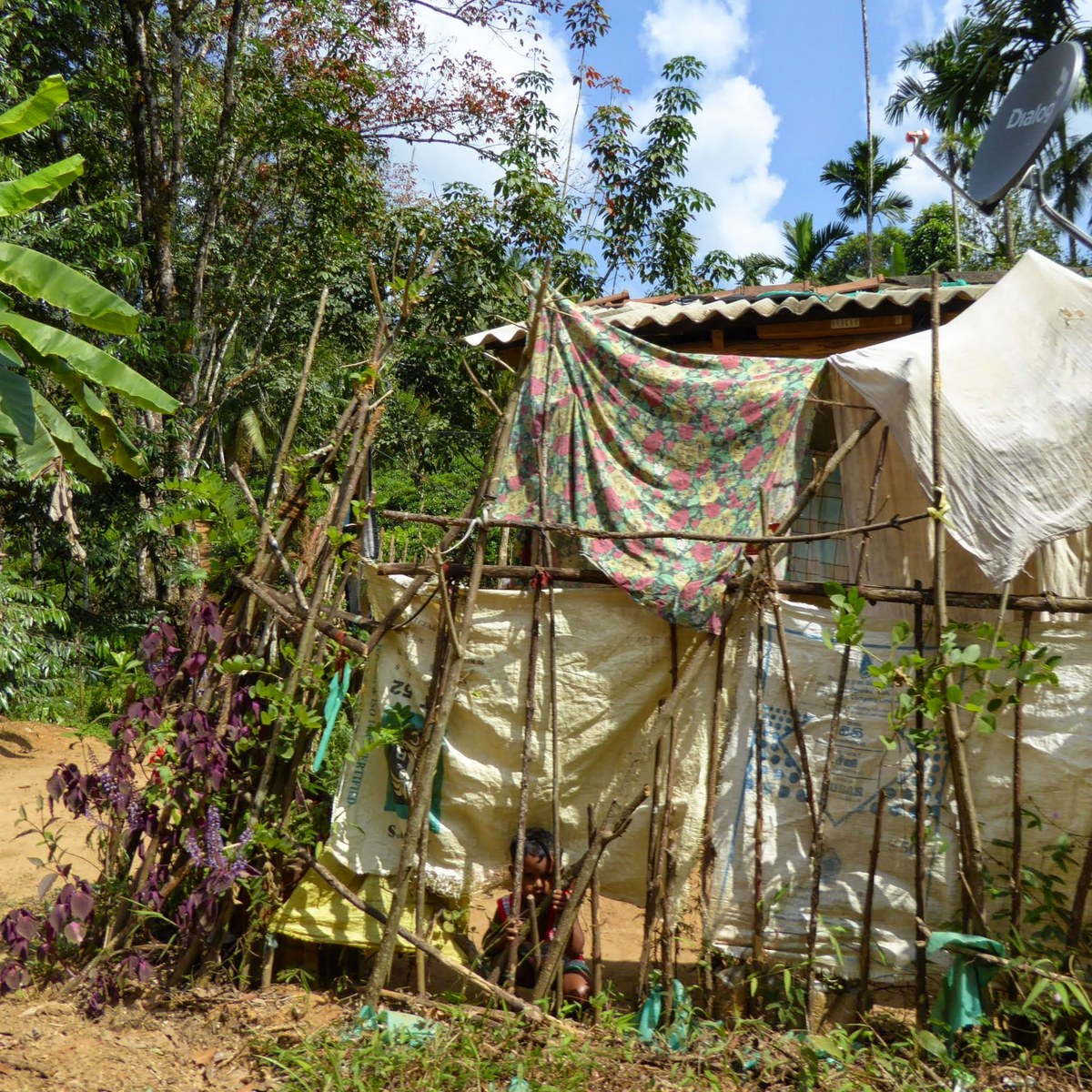 Kobahadu