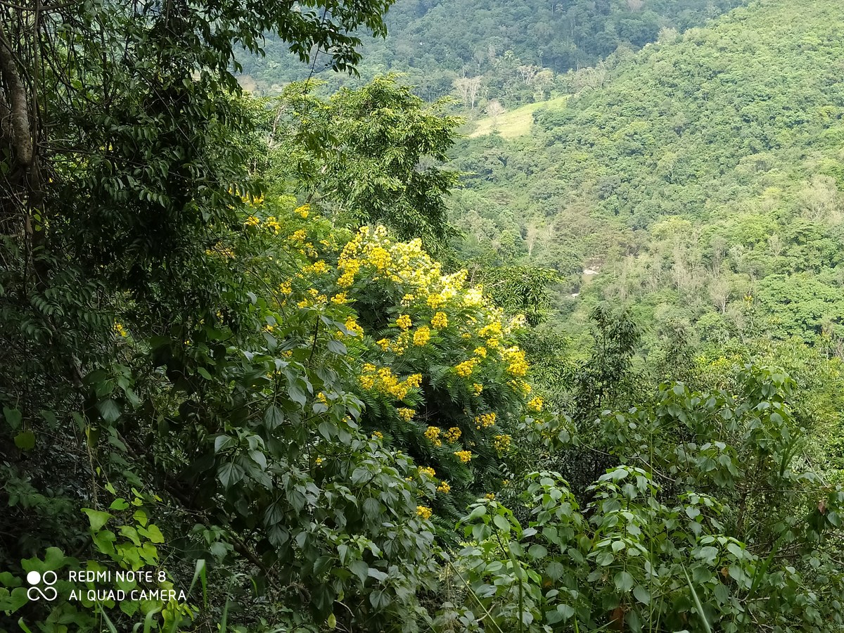Valihidda