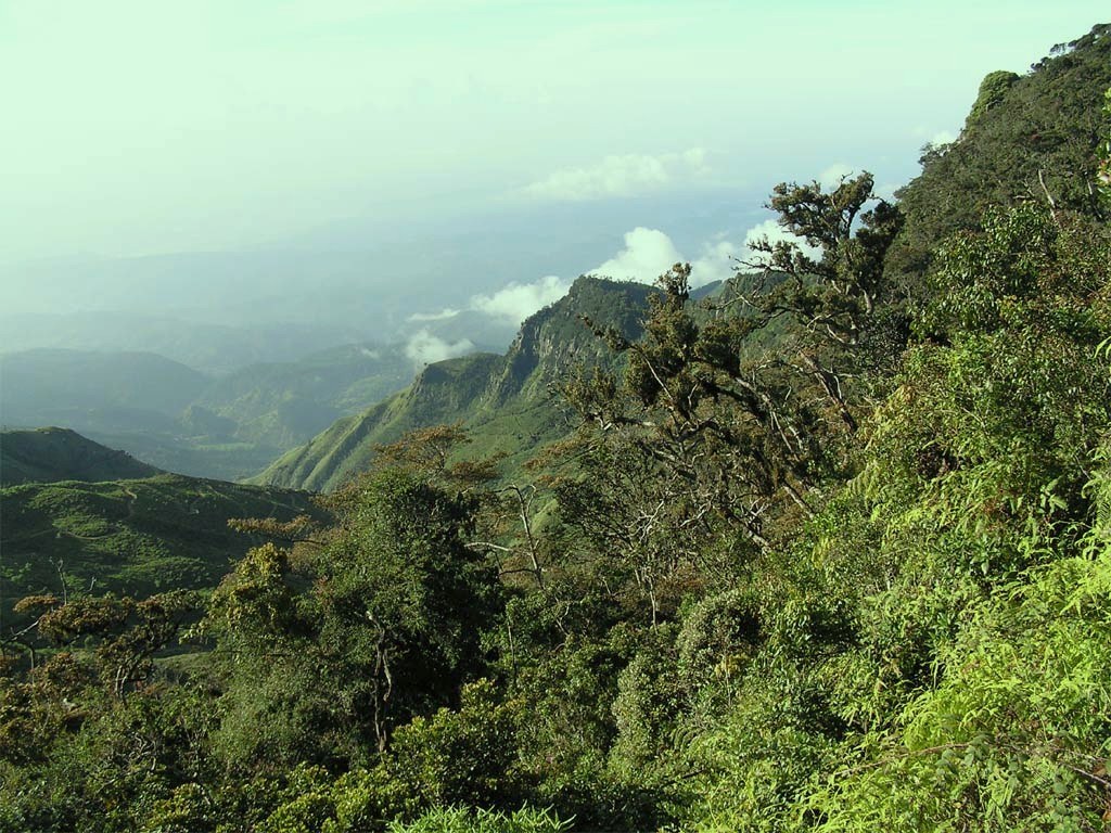 Horowpathana National Park