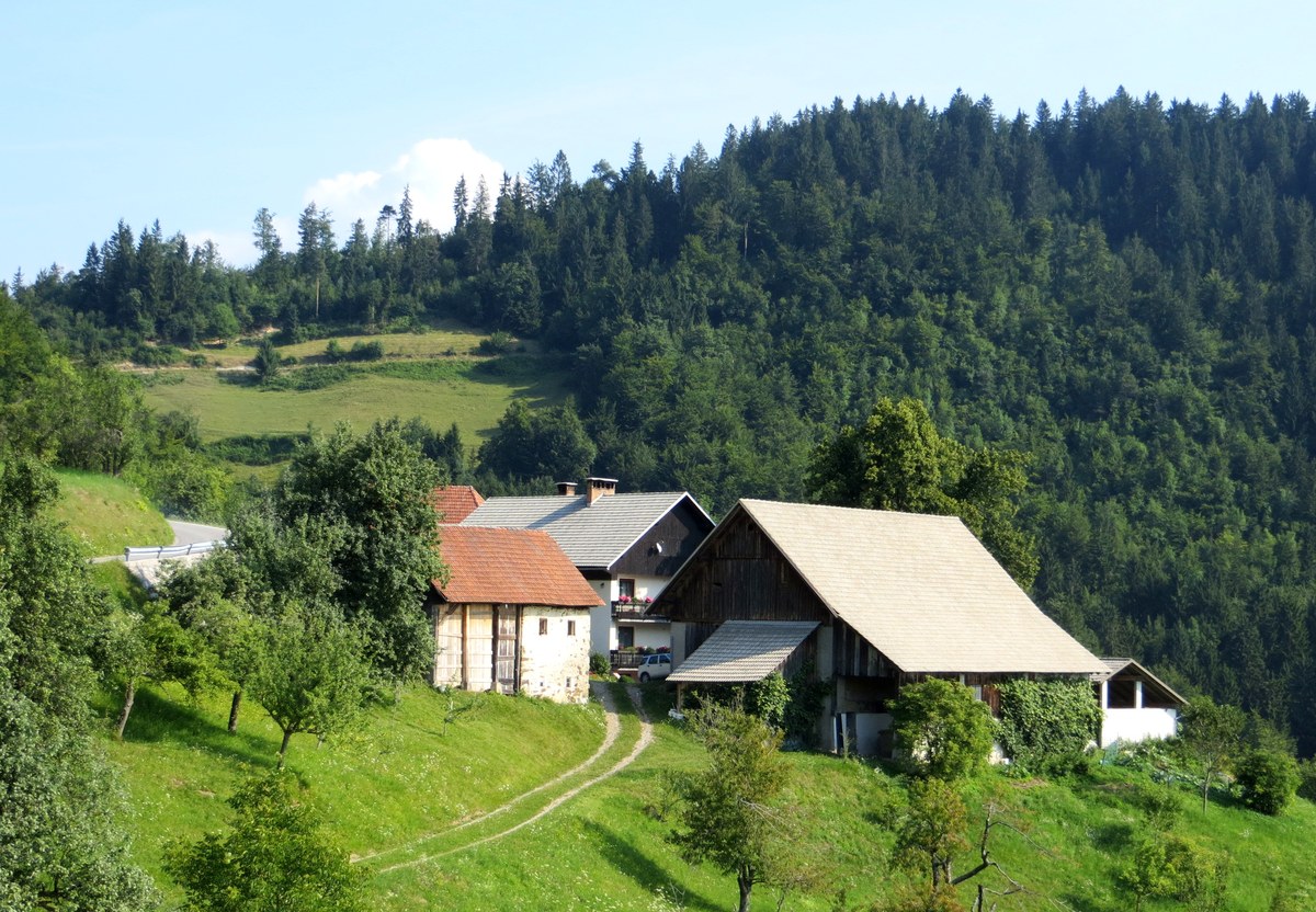 Ermanovec