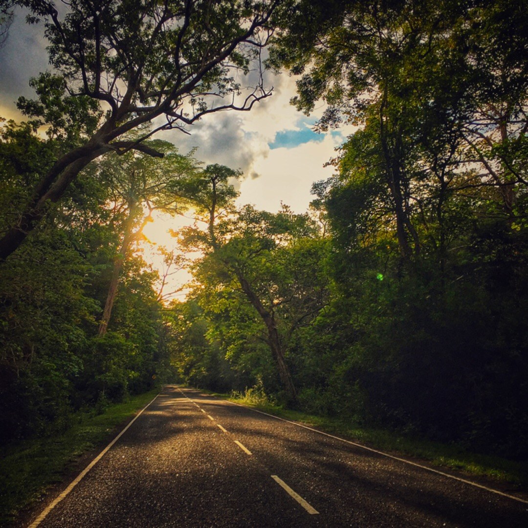 Lahugala Kitulana National Park