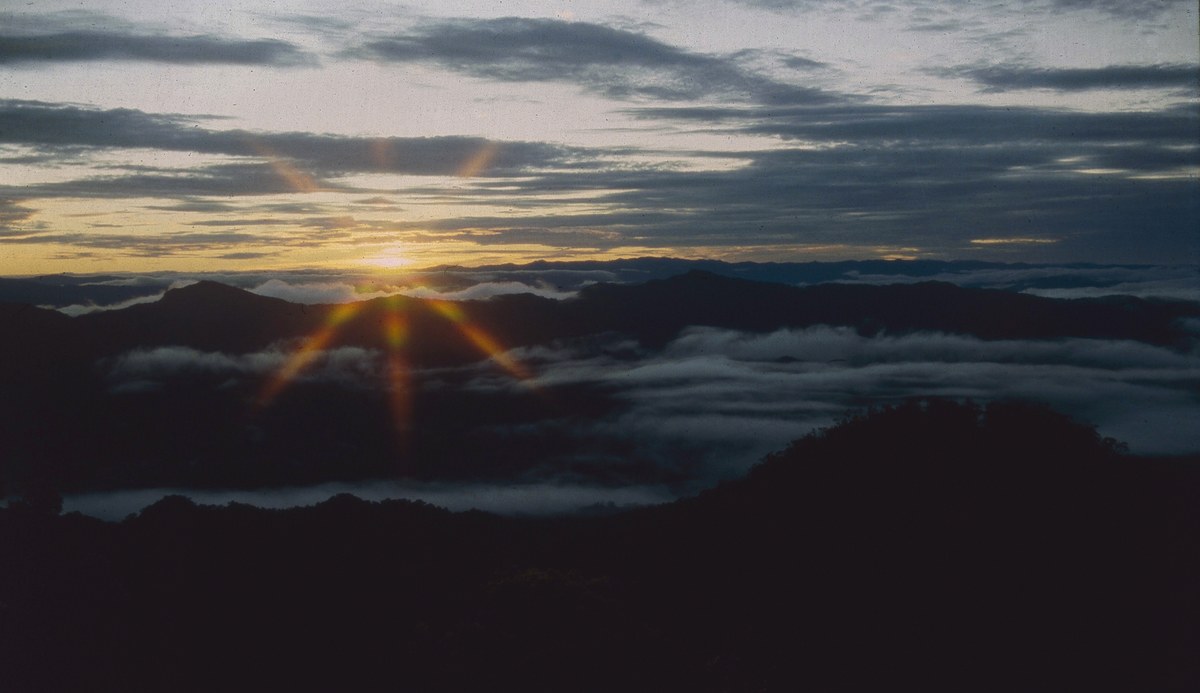 Bukit Pagon