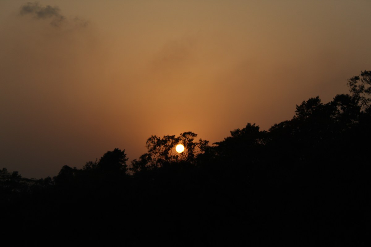 Bhawal National Park