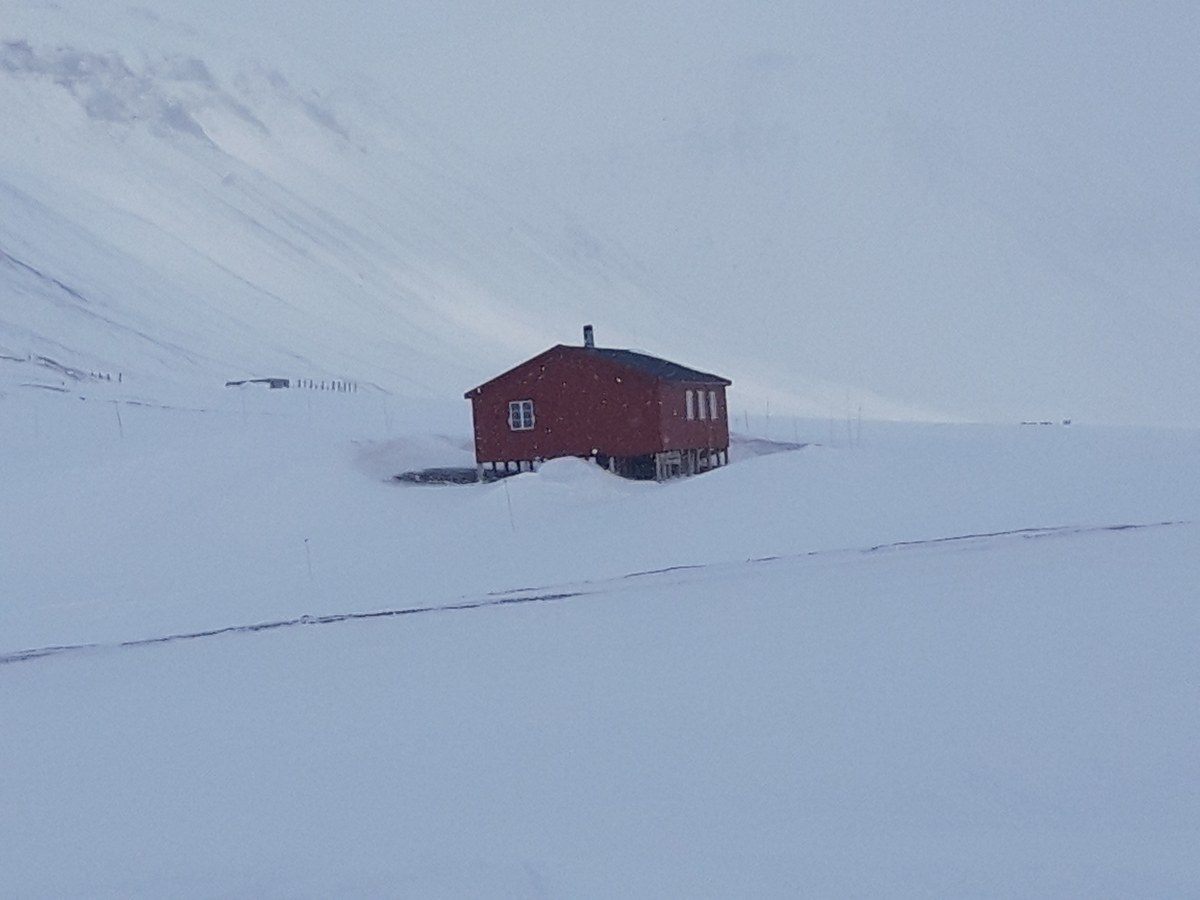 Borbreen