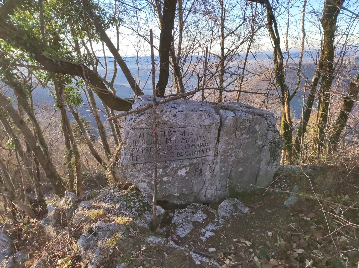 Sveta Gora
