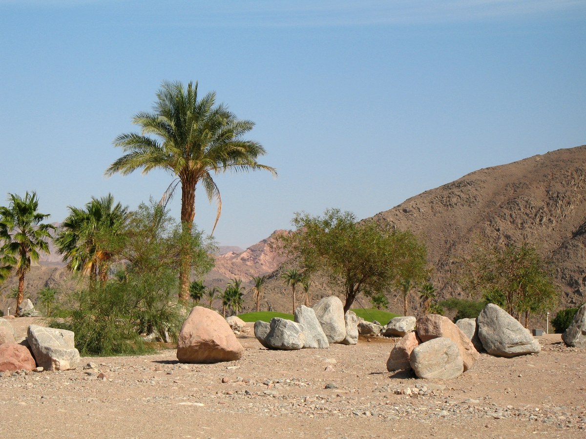 Taba Heights