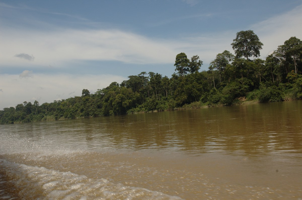 Bukit Kemunting