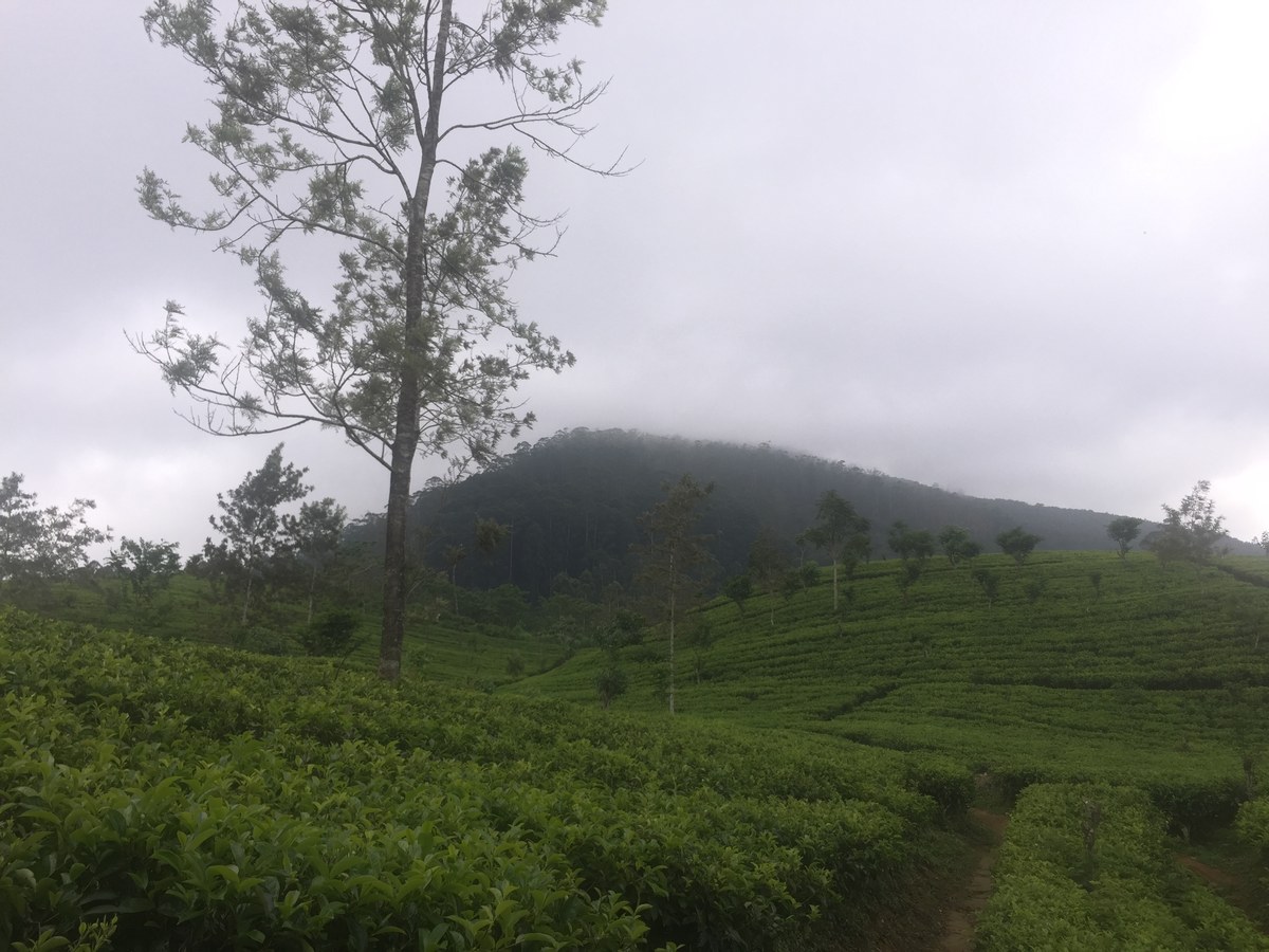 Kotagala